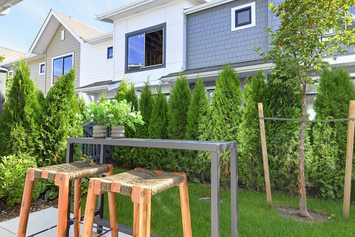Private backyard with a cedar hedge, a high counter and stools